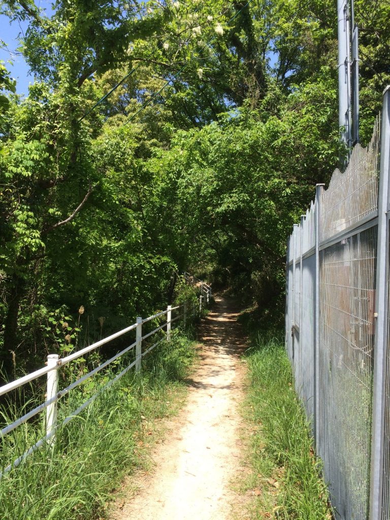 登山口を入ったところ