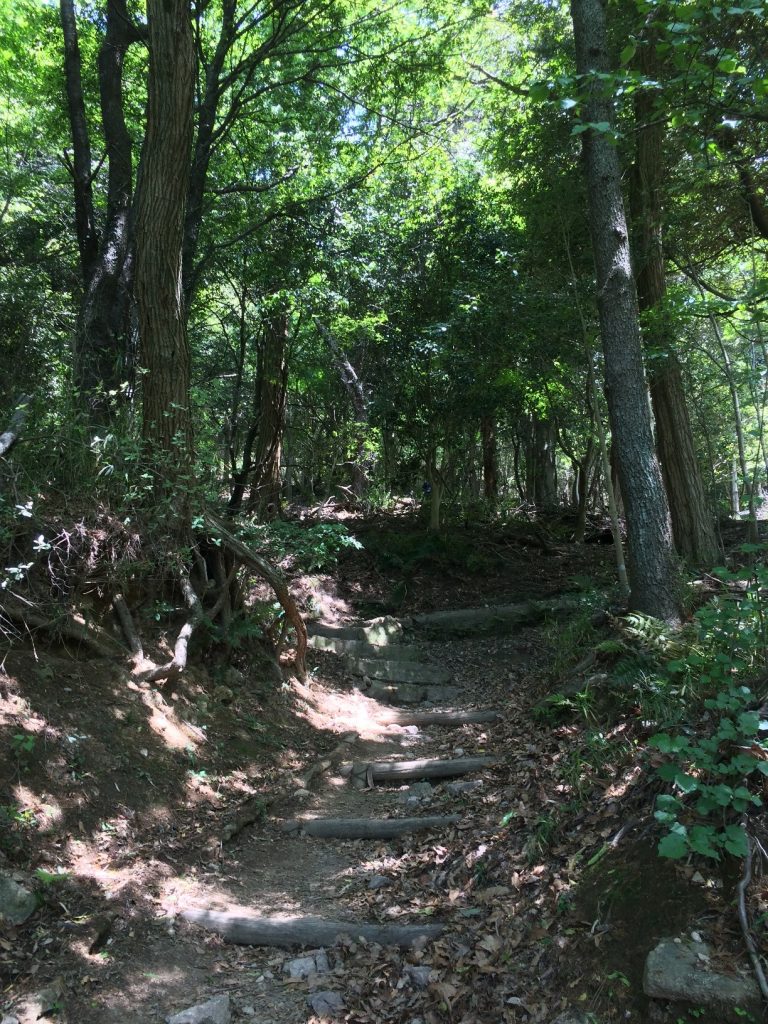 やっと登山っぽくなってきました