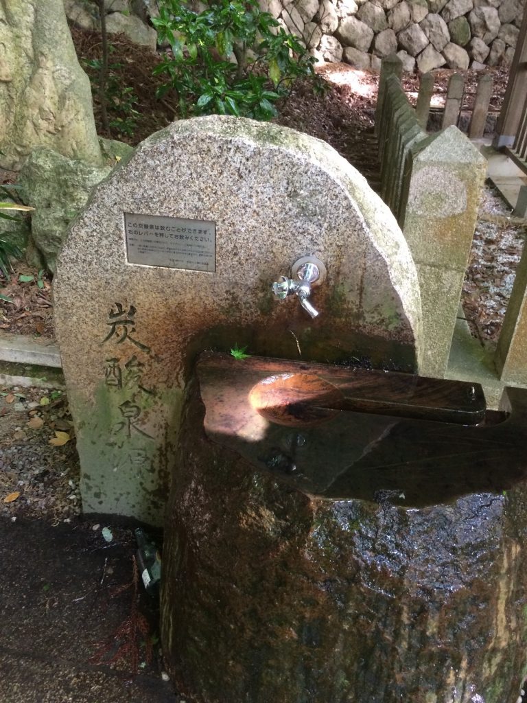 蛇口から炭酸水